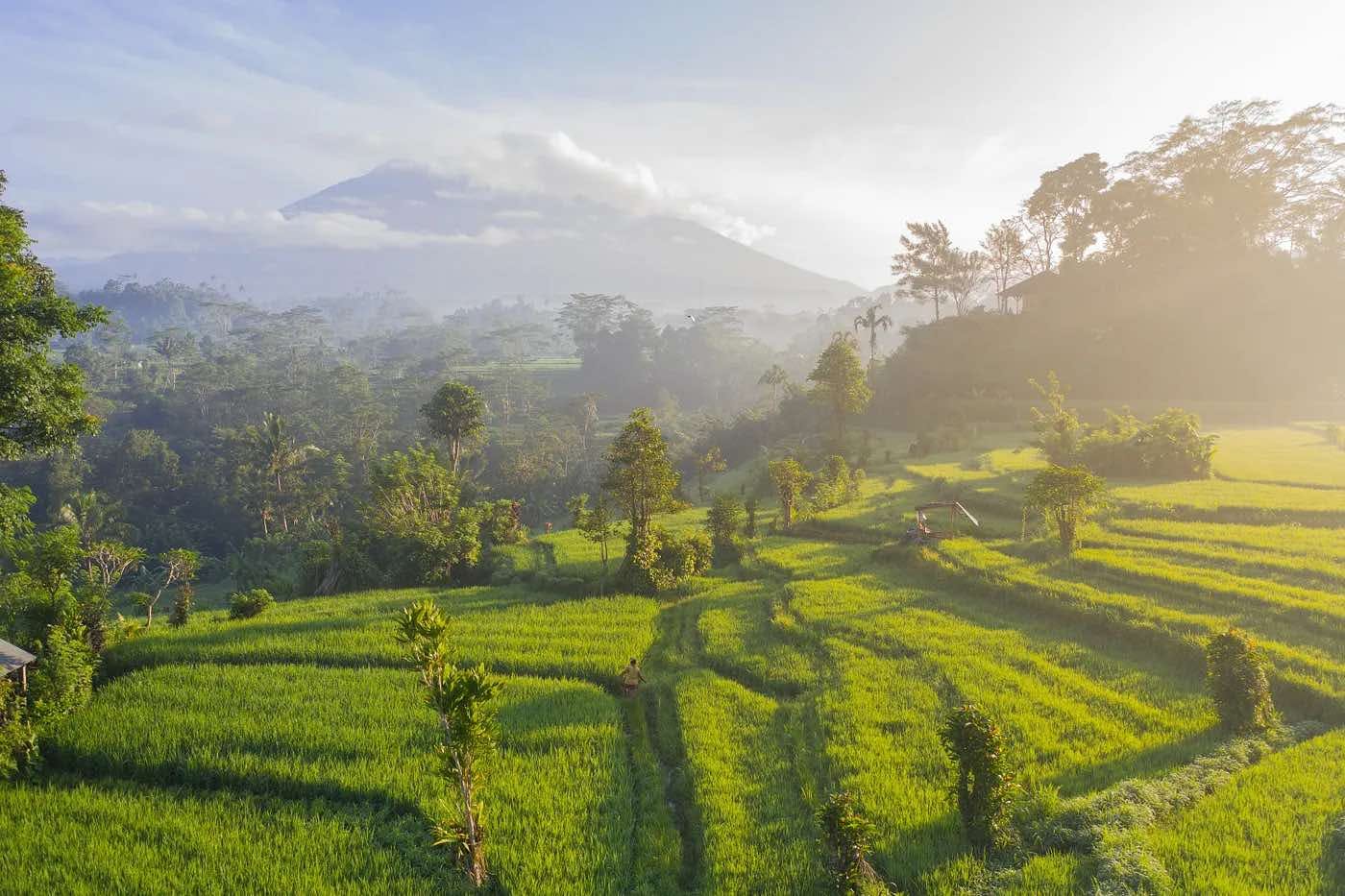 The Best Places to Live in Bali